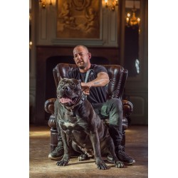 dogmeat-runderboekmaag