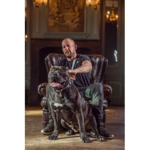 dogmeat-runderboekmaag