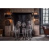 KVV 5 dier Balans, gemalen vlees voor uw hond.