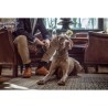 dogmeat-kip-rund-lam