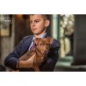 dogmeat-paard-lam-konijn